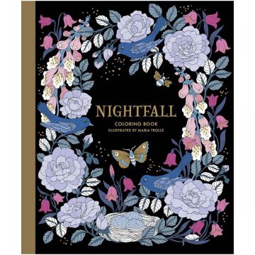 NightFall Coloring Book